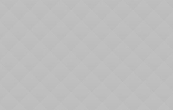 Our Division Specializing in Non-Profit Organizations